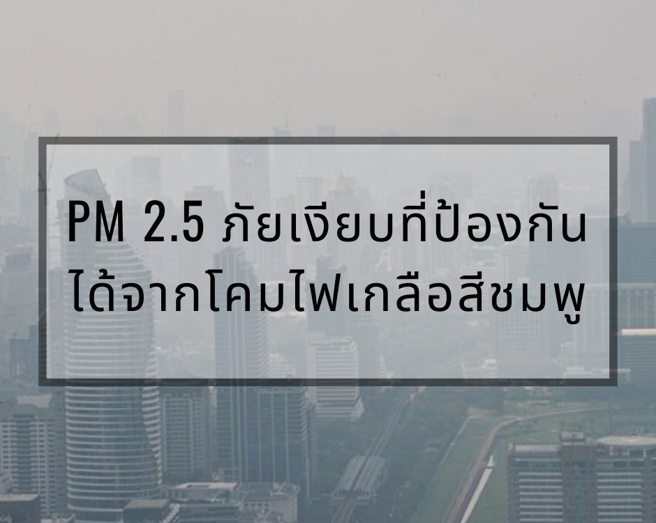 PM 2.5 ภัยเงียบที่ป้องกันได้จากโคมไฟเกลือสีชมพู